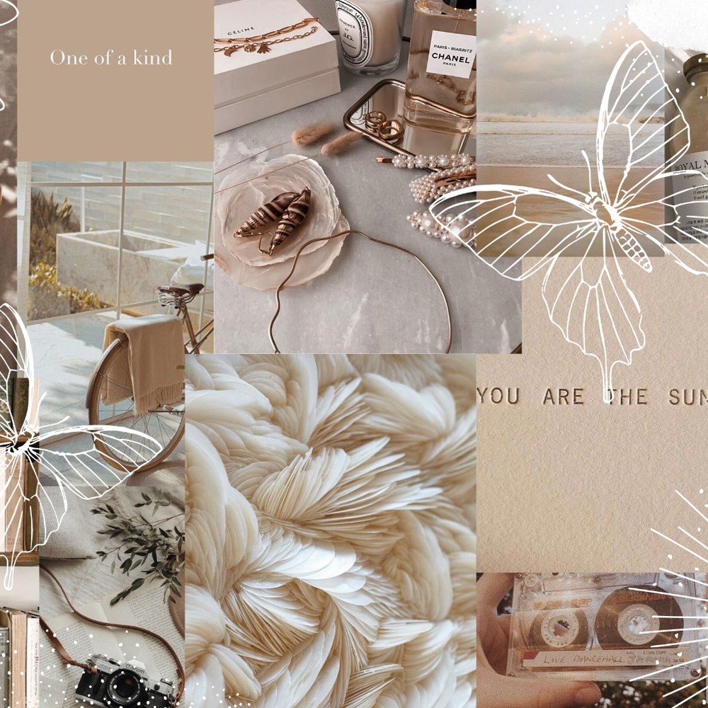 Meet your Posher, Lucinda